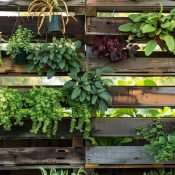 The Journey of a Recycled Pallet
